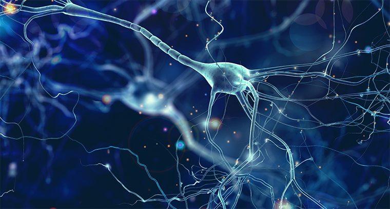 neurologie.png