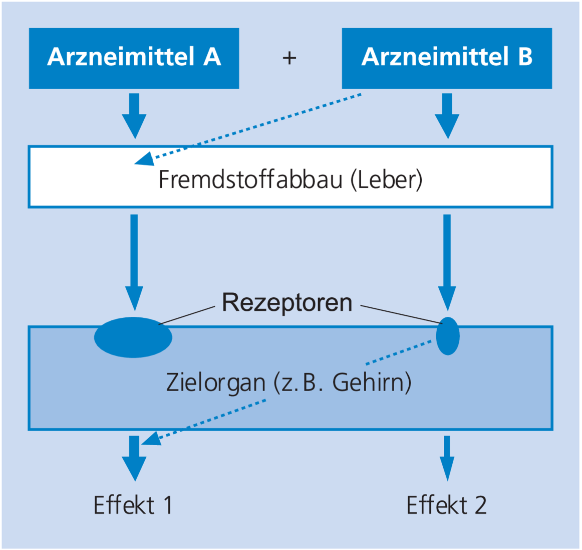 Wechselwirkungen bei der Psychopharmakotherapie - 11 - 2003 - Heftarchiv - AMT